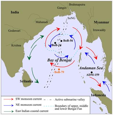 Sediment provenances shift driven by sea level and Indian monsoon in the southern Bay of Bengal since the last glacial maximum